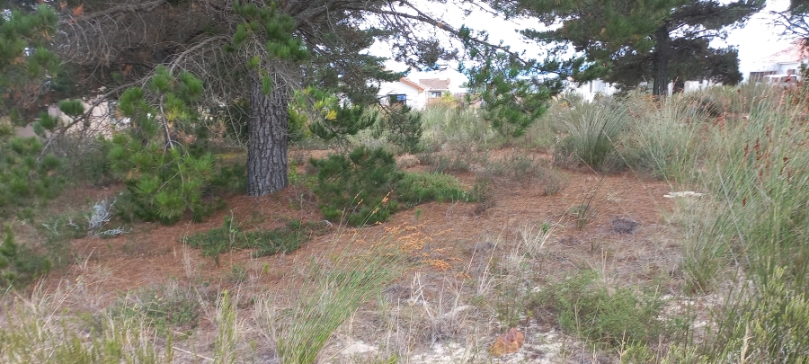 0 Bedroom Property for Sale in Albertinia Western Cape